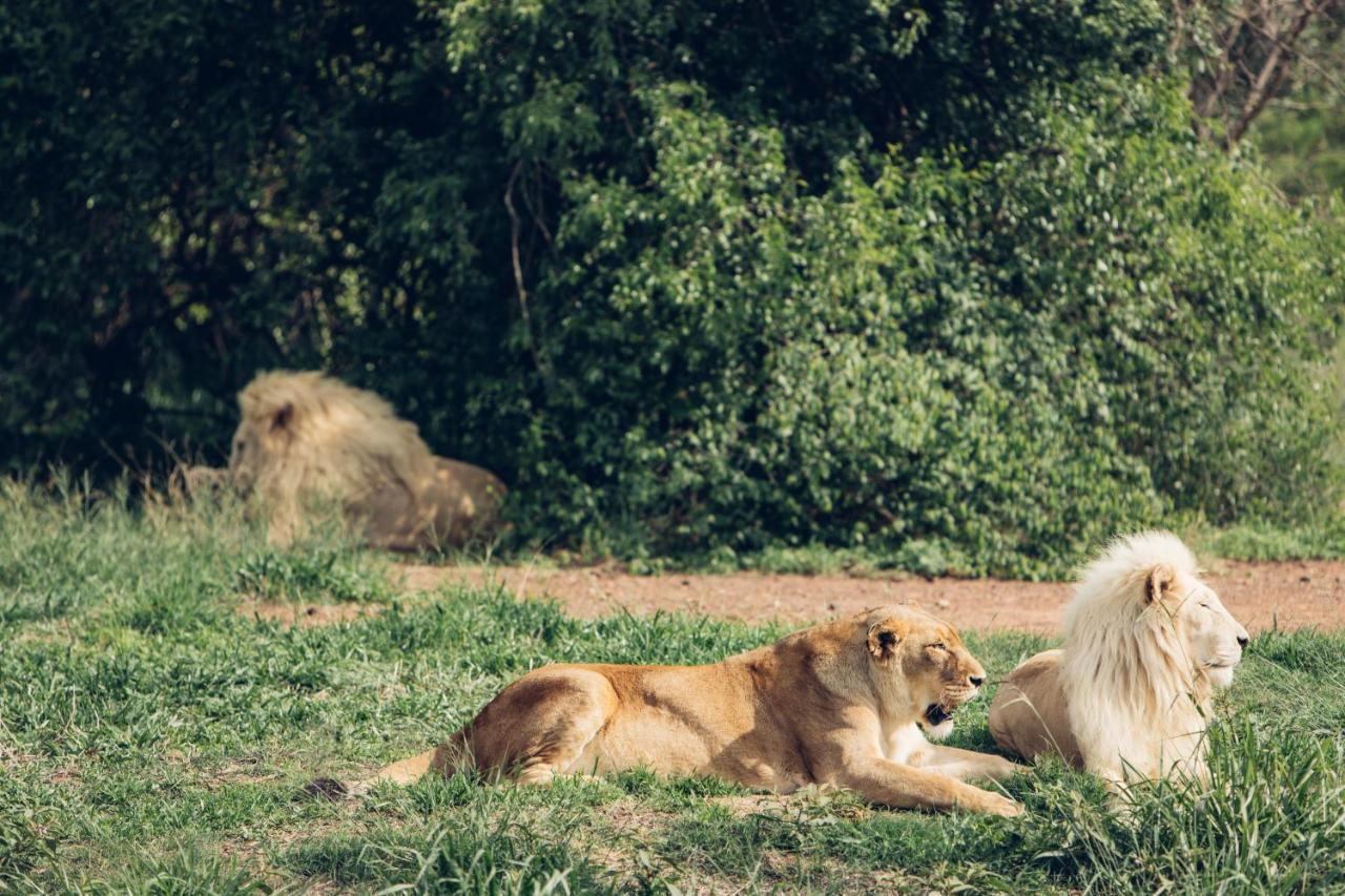 Sofala Lodge Mokopane Eksteriør billede