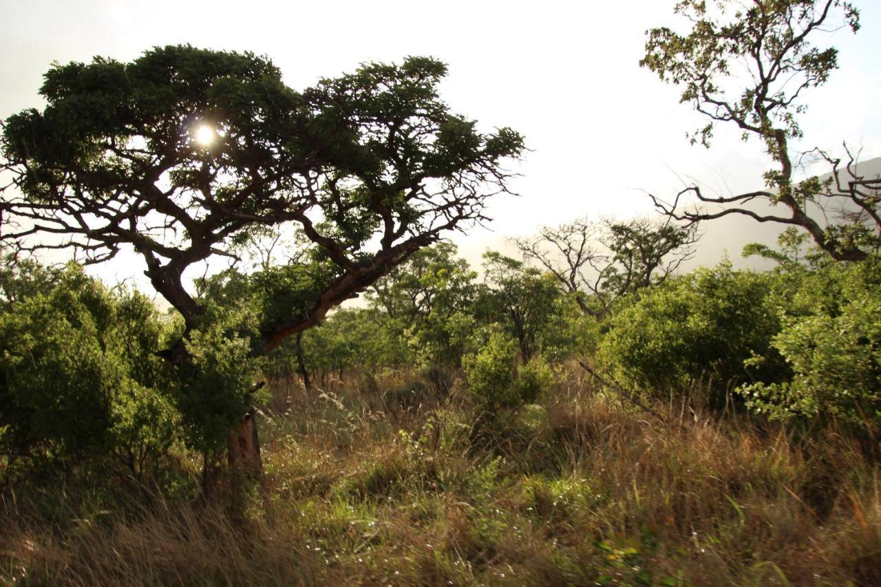 Sofala Lodge Mokopane Eksteriør billede